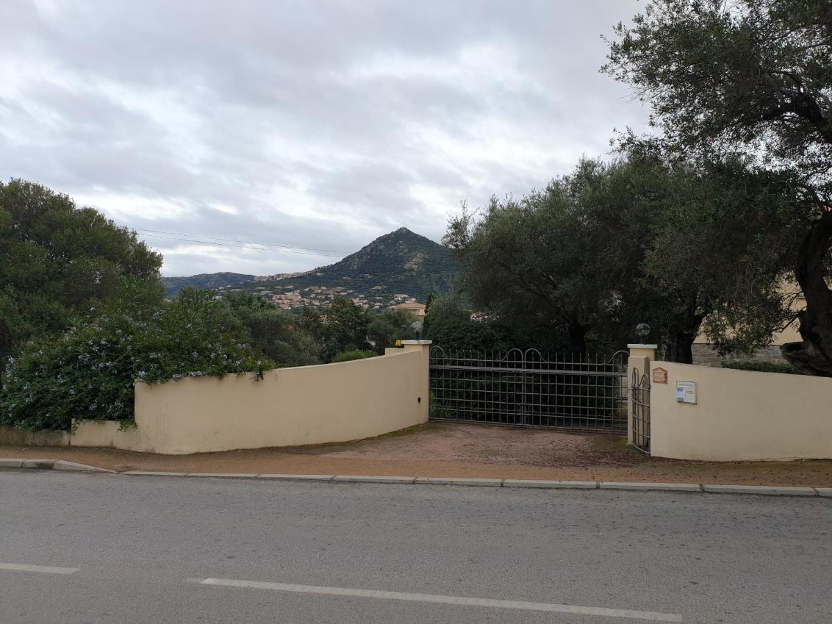 Villa Athena LʼÎle-Rousse Esterno foto